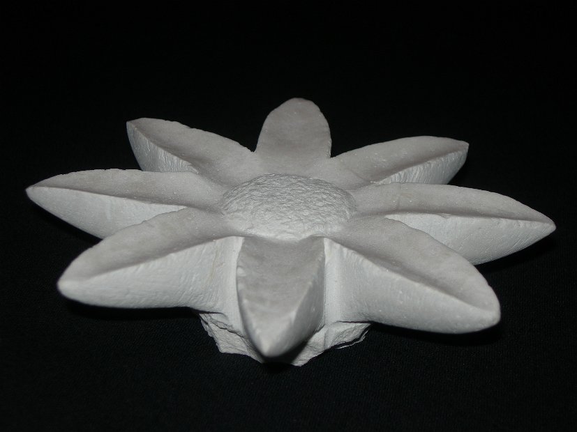 girasole (4)